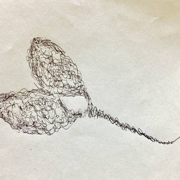 Hearty Butterfly