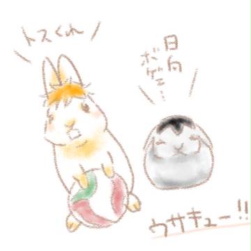 ウサキュー!!