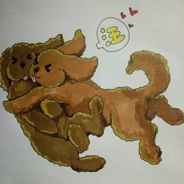 马X维