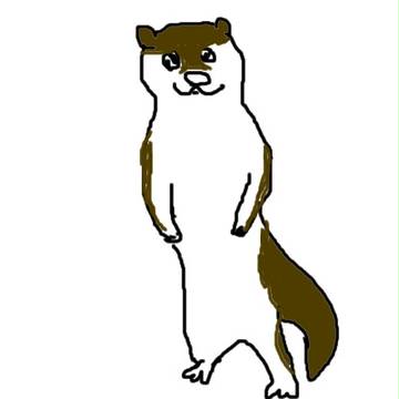 かわうそ