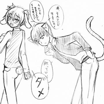 カル猫と渚ウサギ