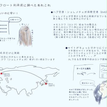 アエロフロート＆シェレメチェボ空港レポ
