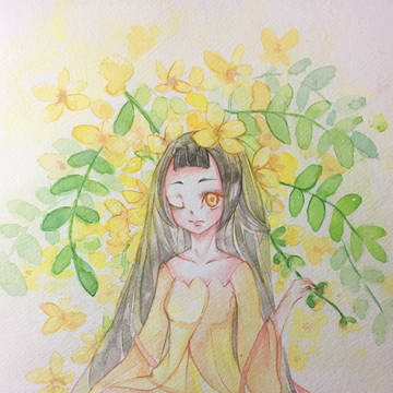 黄槐花