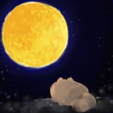 静かな夜