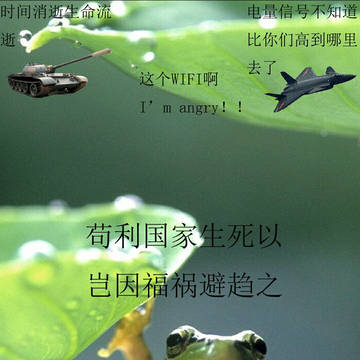 苟利……锁屏…………
