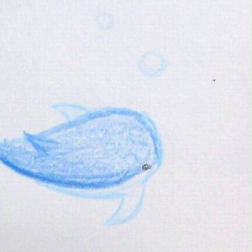 ジンベエザメ
