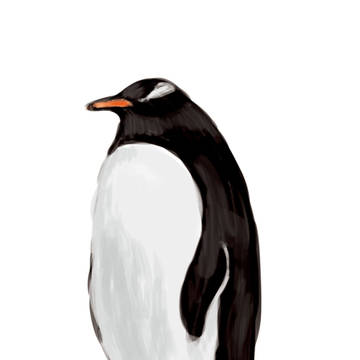 ぺんぎん
