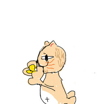 ねこ