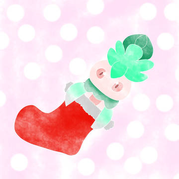 クリスマスカリキリ
