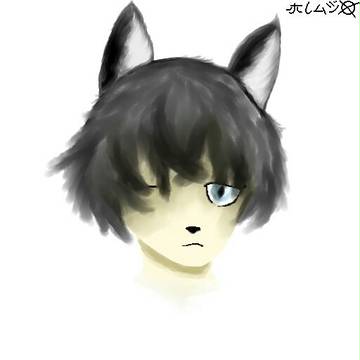 Neko kun.