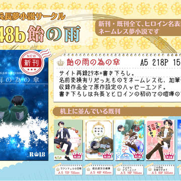 【リヴァイ兵長夢小説】C91冬コミおしながき【夢本】