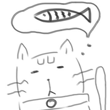 ＝v＝