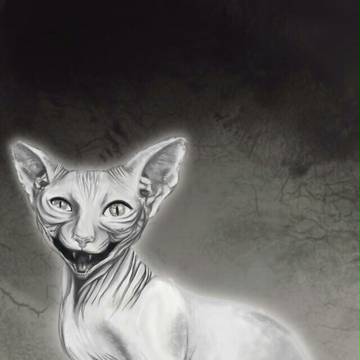 meow!