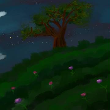 Night Under the Stars