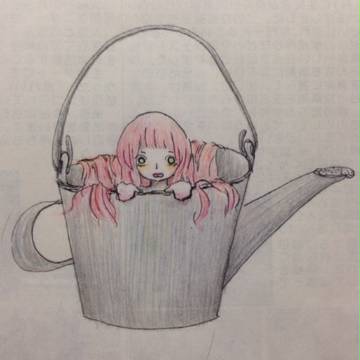どこからきました