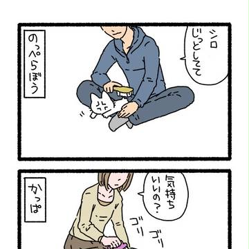 ねこようかいとブラッシング