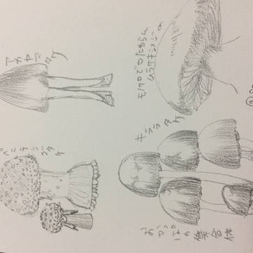 練習その2