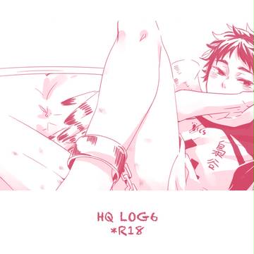 HQ LOG6
