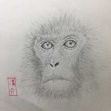 2016 申