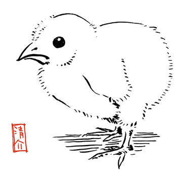 2017 酉