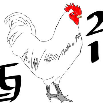 2017 酉年