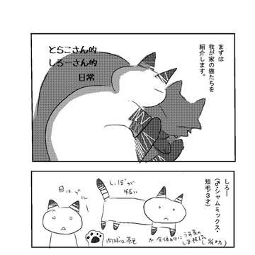 うちの猫たちについて