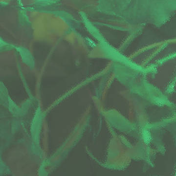 背景素材(葉っぱ)