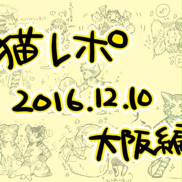 大阪猫　記憶メモ