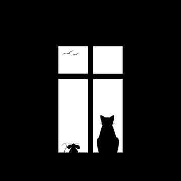 猫的世界