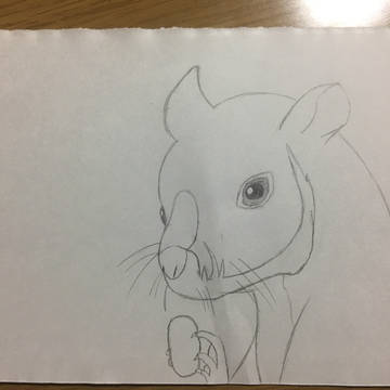 ムササビ