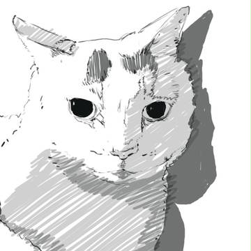 猫落書き