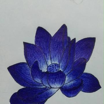 莲花