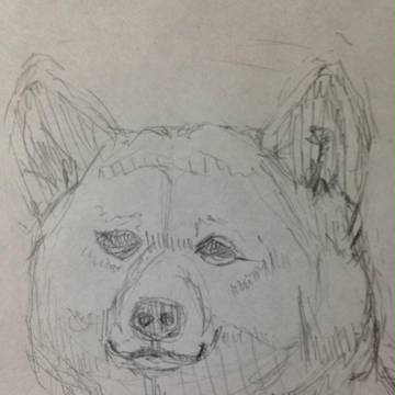 今年もよろしくお願いします