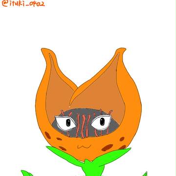 ジョジョ 猫草