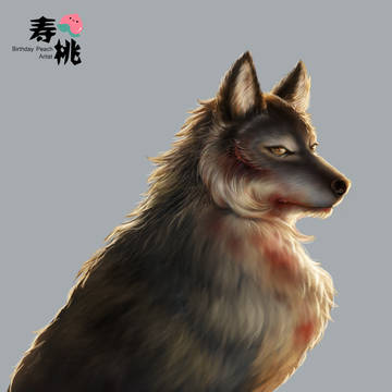 The wolf