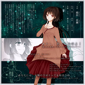 【白日】織原 夜鷹【流星】