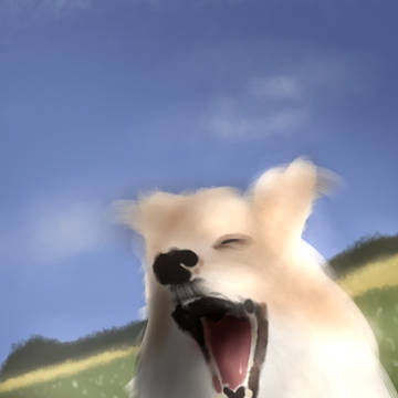 犬