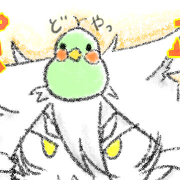 あけましておめでとうございます