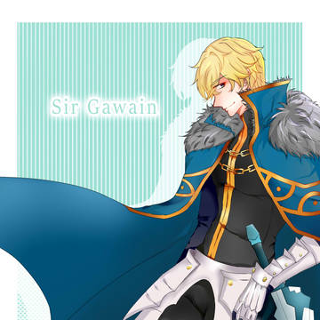 fgo log.