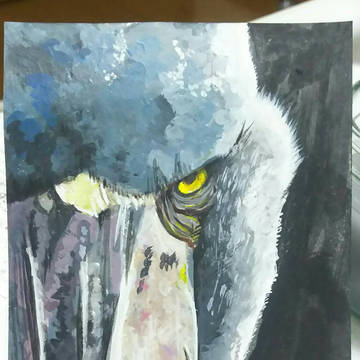 ハシビロコウ