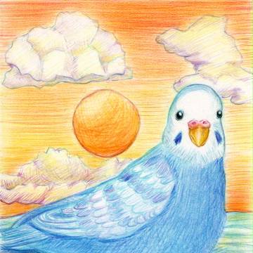 あけましておめでとうインコ