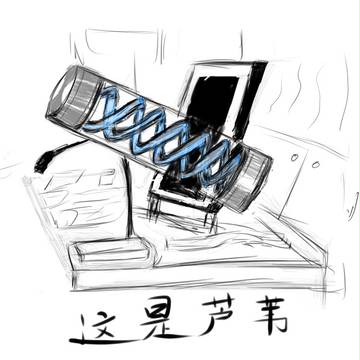 这是芦苇