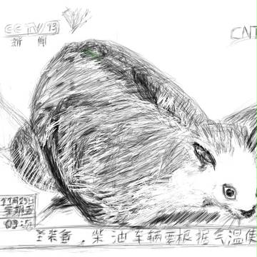天猫