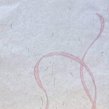 (｡-_-｡)