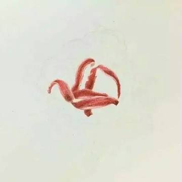 彼岸花开
