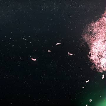 瞎涂(?)