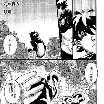 2015 クラレオアンソロ 再掲 花の行方