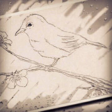 はるまちどり