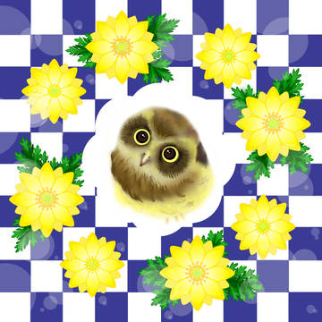 フクジュソウ＆フクロウ