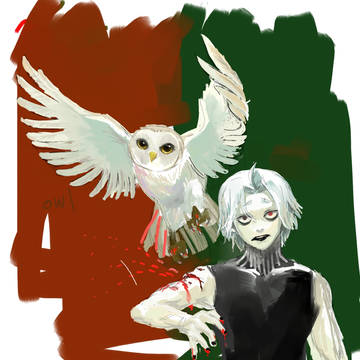 Seido takizawa